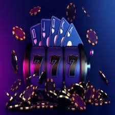 3344 bet 3344 bet